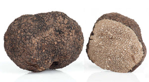 Black Hooked Truffle (Uncinatum)